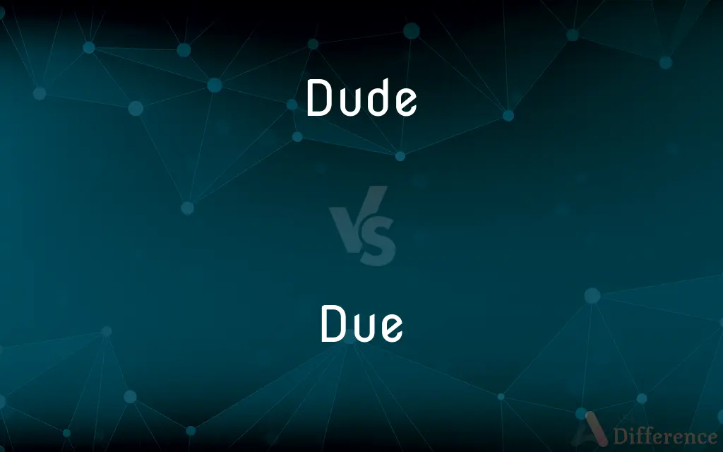 Dude vs. Due — What's the Difference?