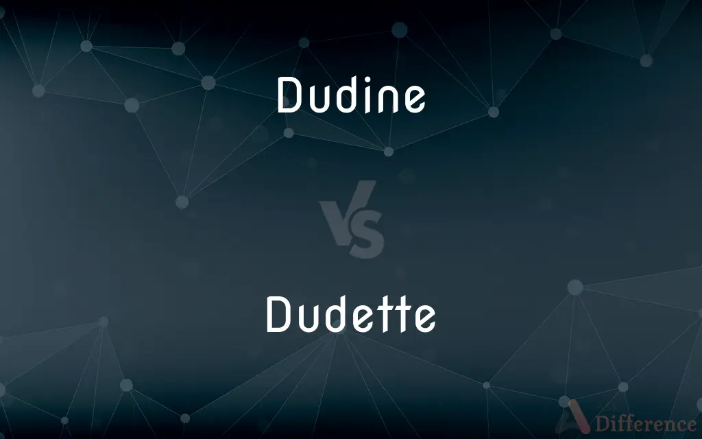Dudine vs. Dudette — Which is Correct Spelling?