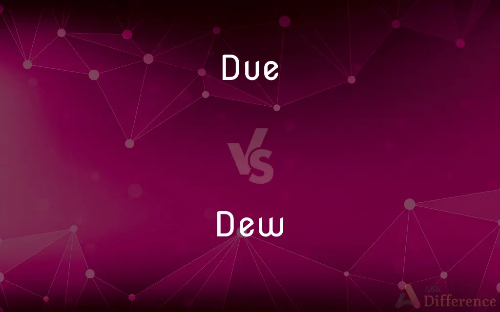Due vs. Dew — What's the Difference?