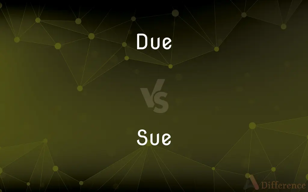 Due vs. Sue — What's the Difference?