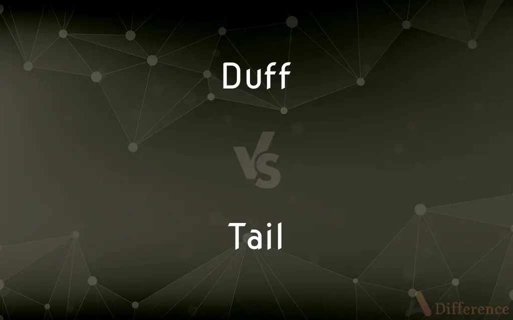 Duff vs. Tail — What's the Difference?