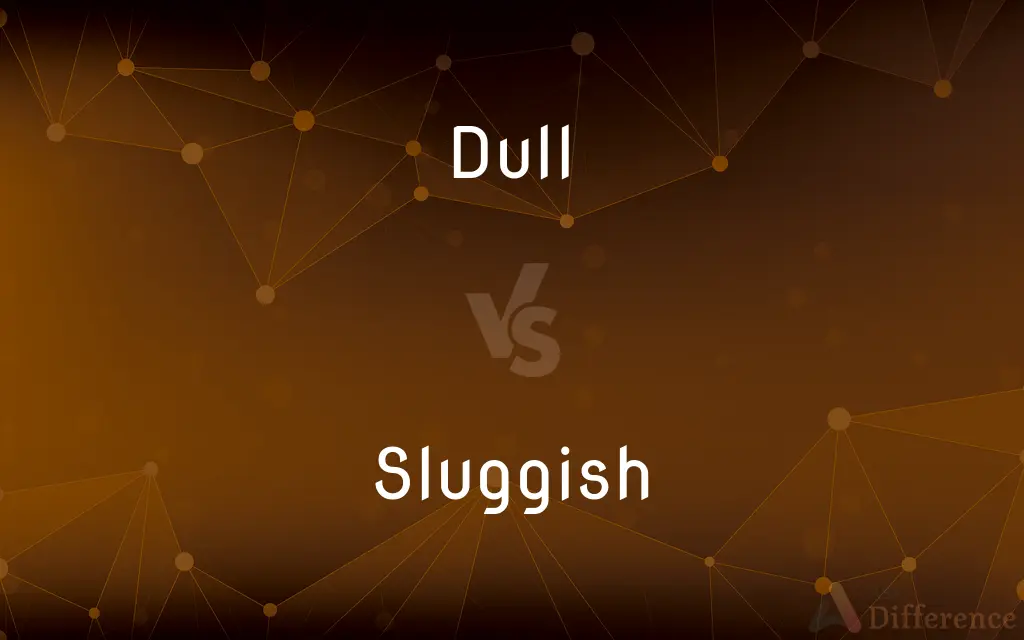 Dull vs. Sluggish — What's the Difference?
