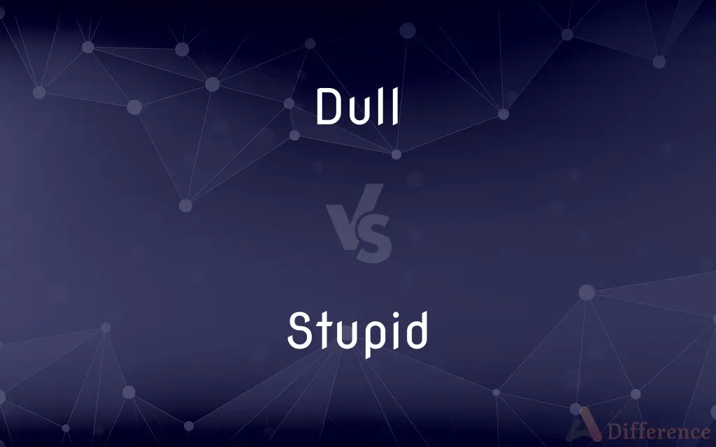Dull vs. Stupid — What's the Difference?