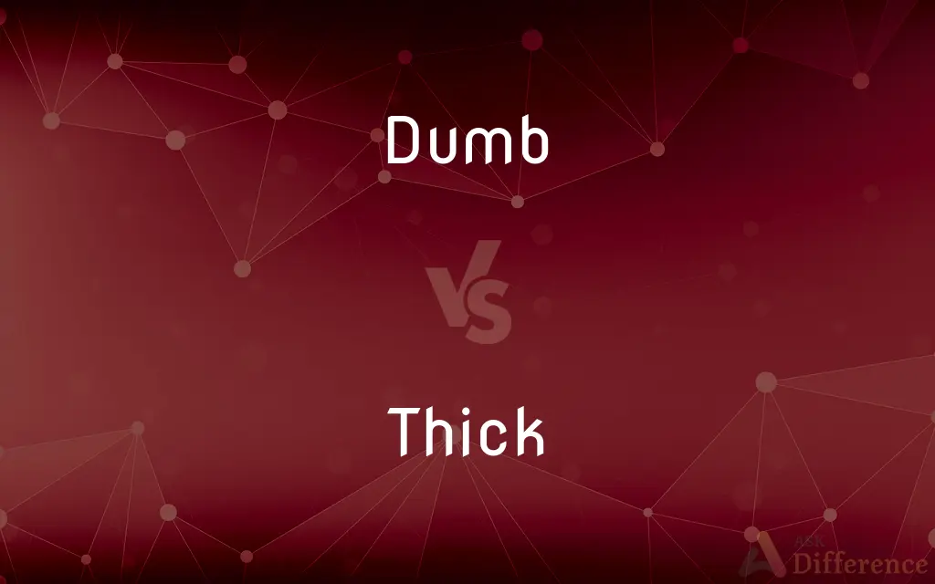Dumb vs. Thick — What's the Difference?