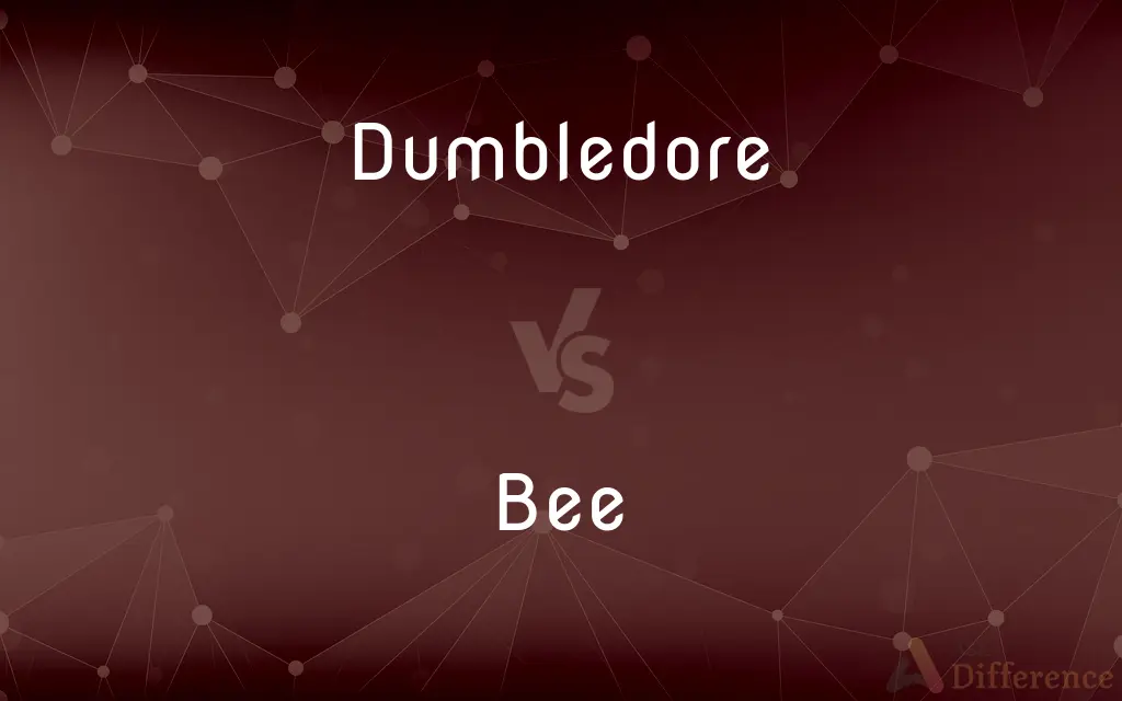 Dumbledore vs. Bee — What's the Difference?