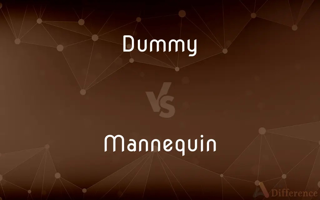 Dummy vs. Mannequin — What's the Difference?