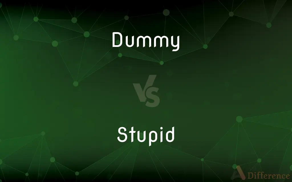 Dummy vs. Stupid — What's the Difference?