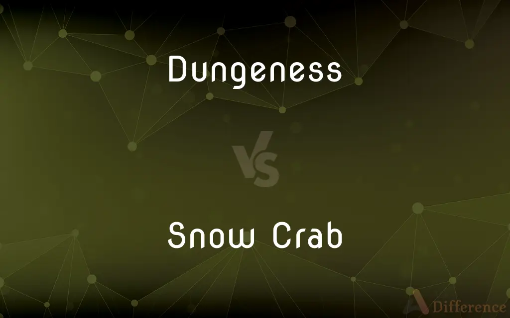 Dungeness vs. Snow Crab — What's the Difference?