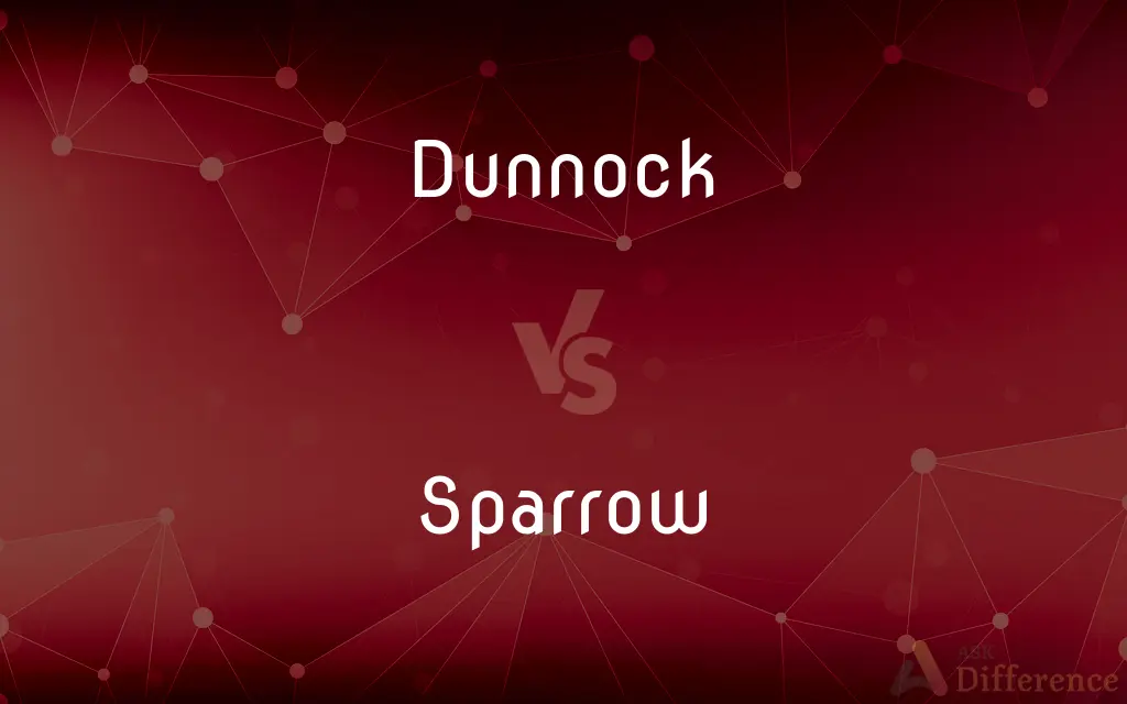 Dunnock vs. Sparrow — What's the Difference?
