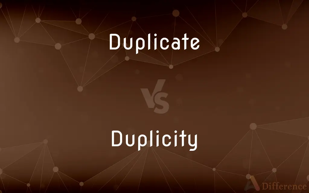 Duplicate vs. Duplicity — What's the Difference?