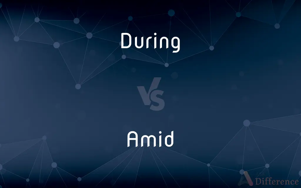 During vs. Amid — What's the Difference?