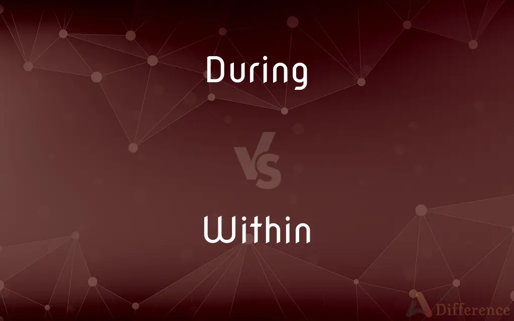 During vs. Within — What's the Difference?