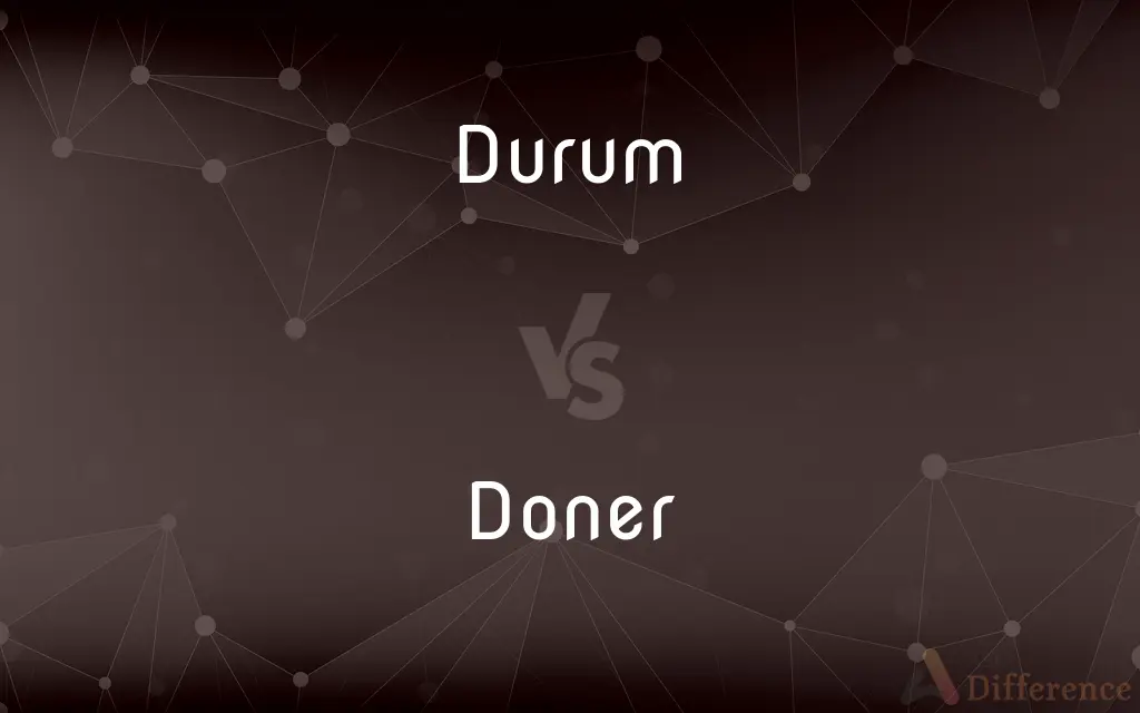 Durum vs. Doner — What's the Difference?