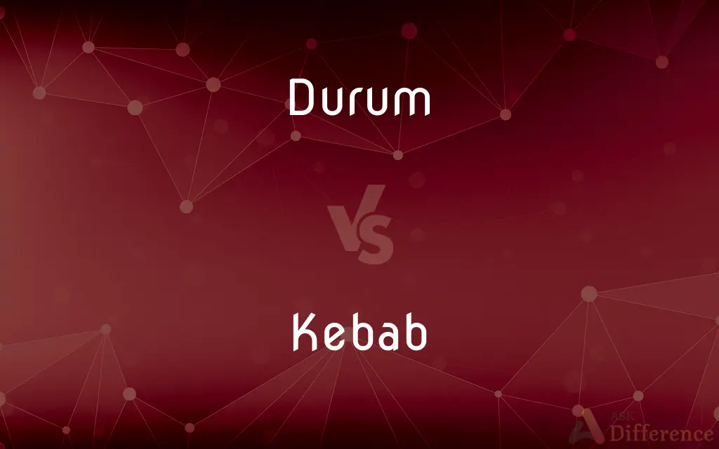 Durum vs. Kebab — What's the Difference?