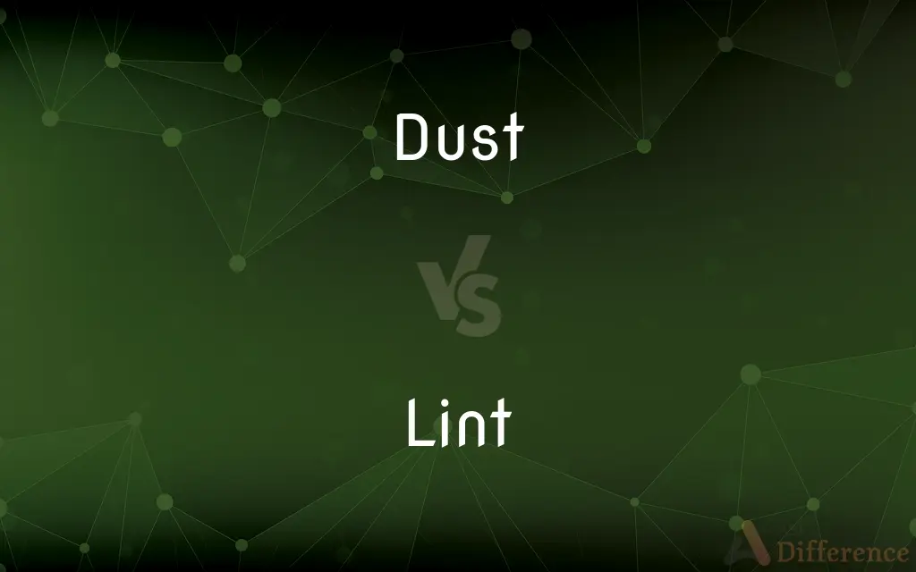 Dust vs. Lint — What's the Difference?