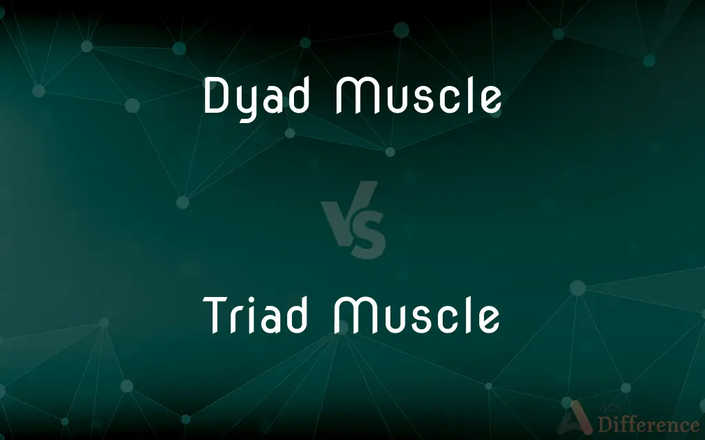 Dyad Muscle vs. Triad Muscle — What's the Difference?