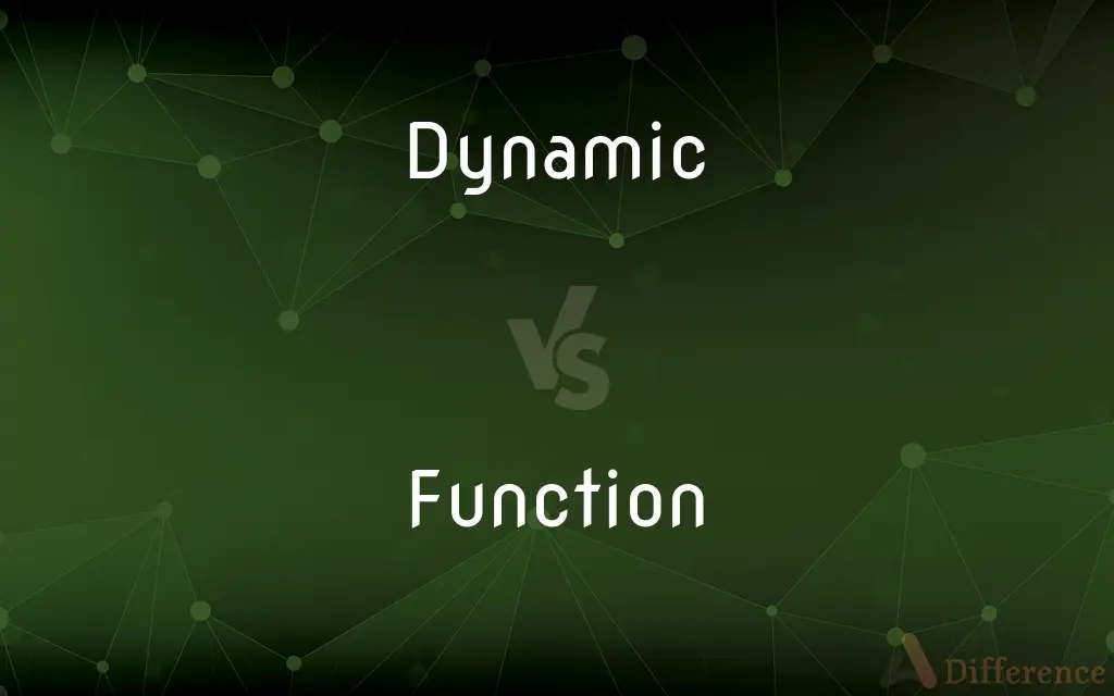 Dynamic vs. Function — What's the Difference?