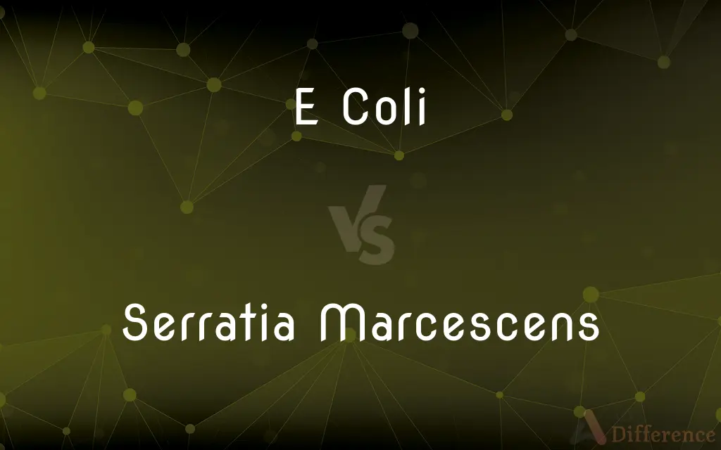 E Coli vs. Serratia Marcescens — What's the Difference?