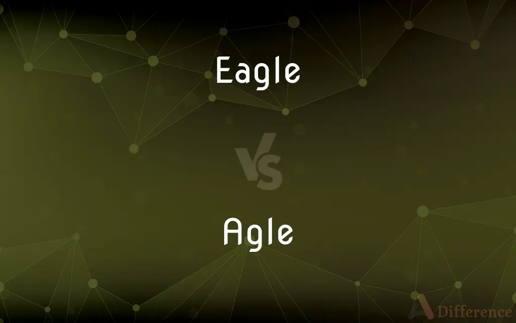 Eagle vs. Agle — What's the Difference?