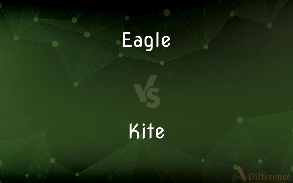 Eagle vs. Kite — What's the Difference?