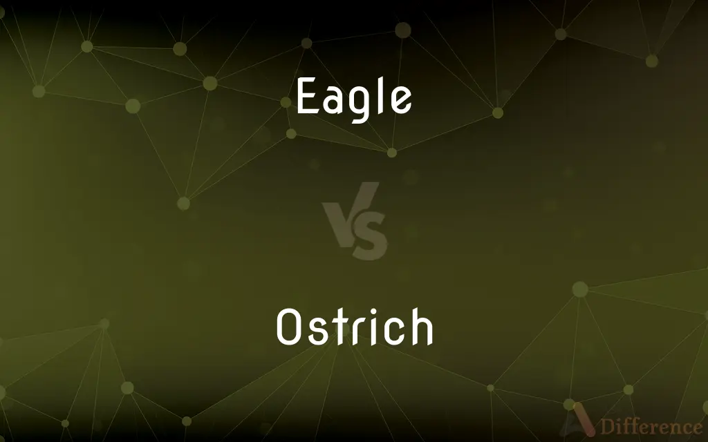 Eagle vs. Ostrich — What's the Difference?