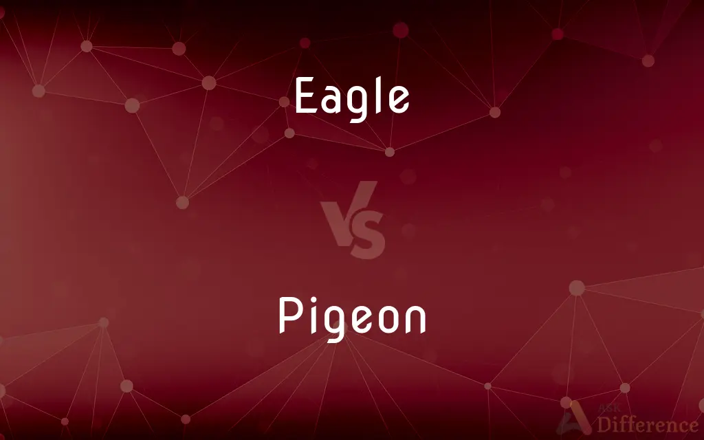 Eagle vs. Pigeon — What's the Difference?