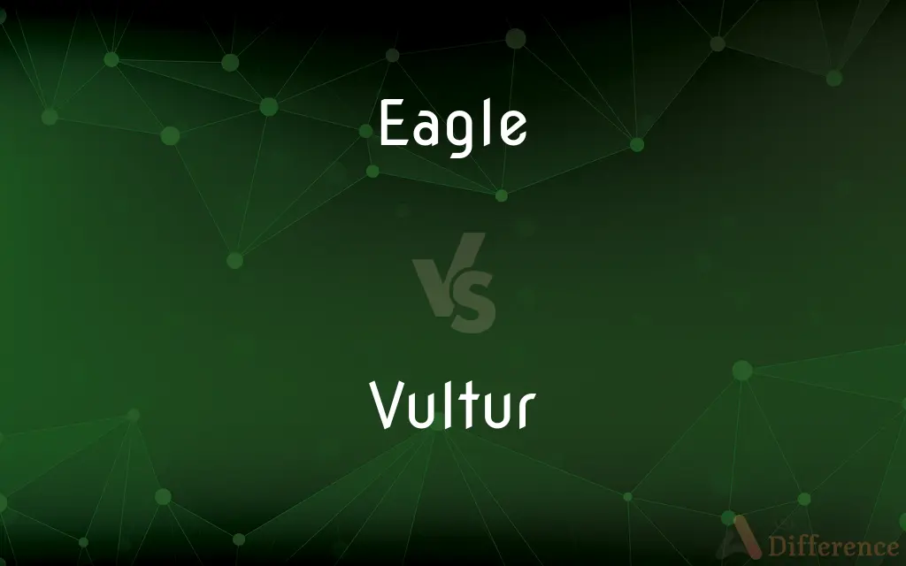 Eagle vs. Vultur — What's the Difference?