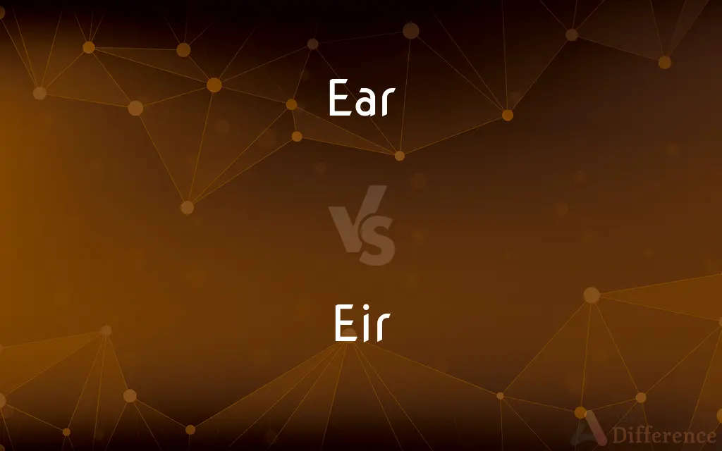 Ear vs. Eir — What's the Difference?
