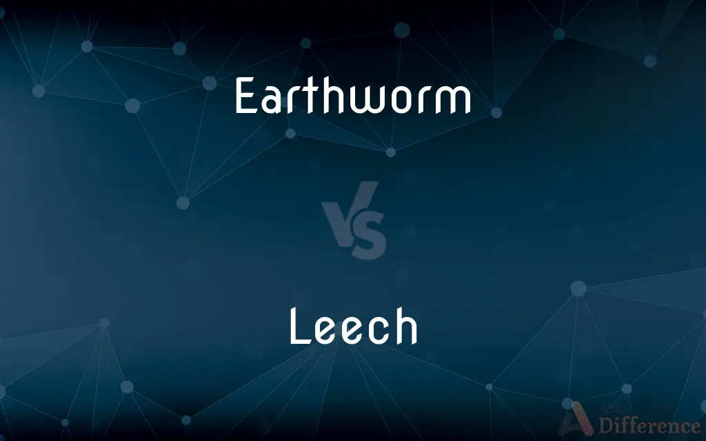 Earthworm vs. Leech — What's the Difference?