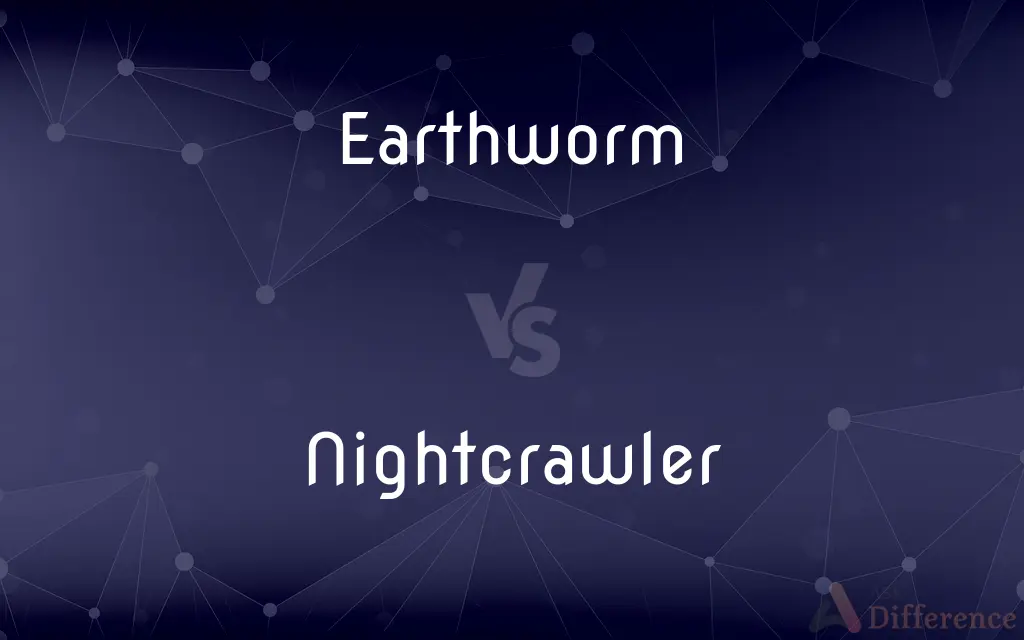 Earthworm vs. Nightcrawler — What's the Difference?