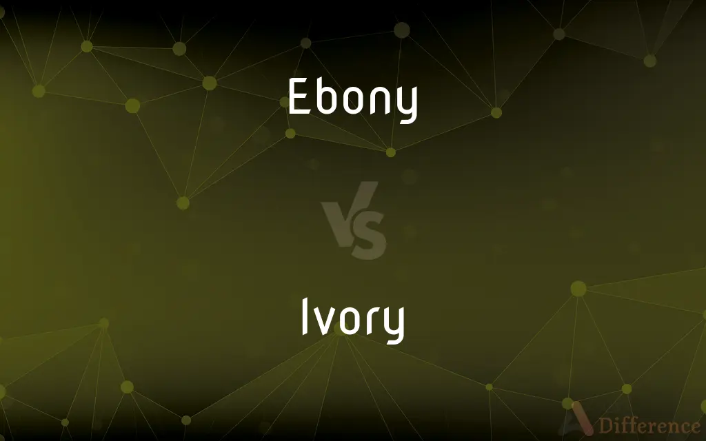 Ebony vs. Ivory — What's the Difference?