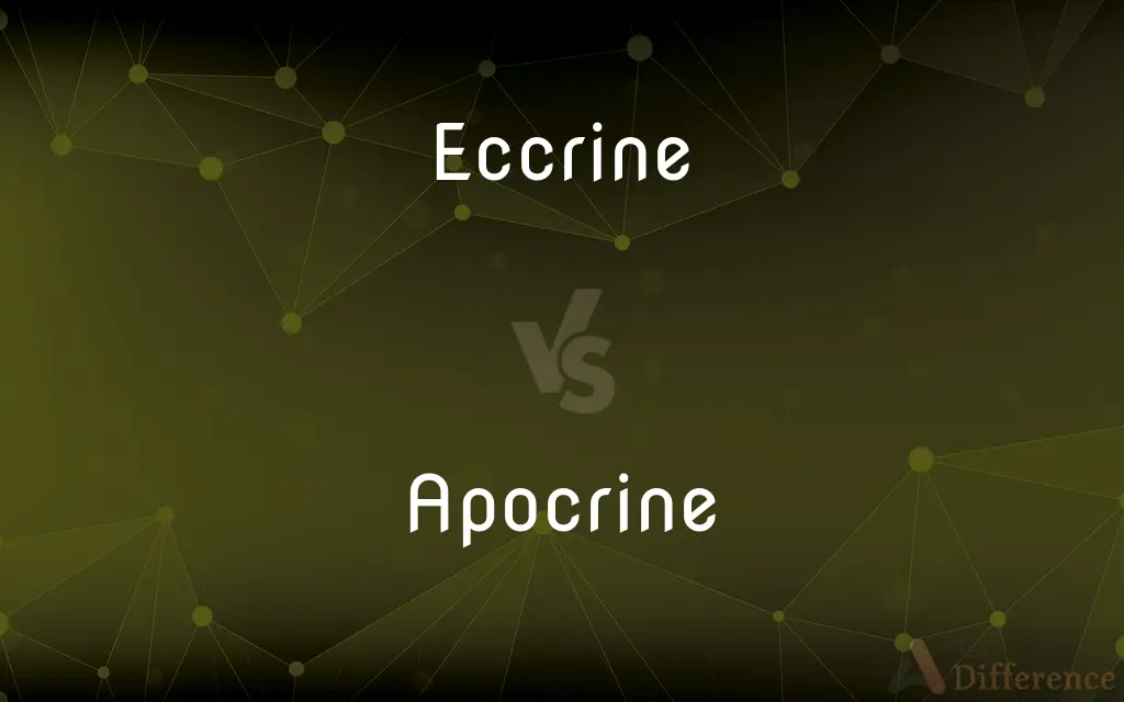 Eccrine vs. Apocrine — What's the Difference?