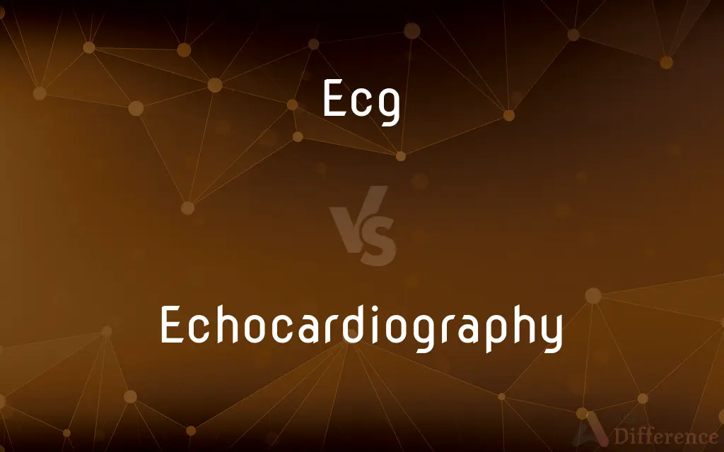 Ecg vs. Echocardiography — What's the Difference?