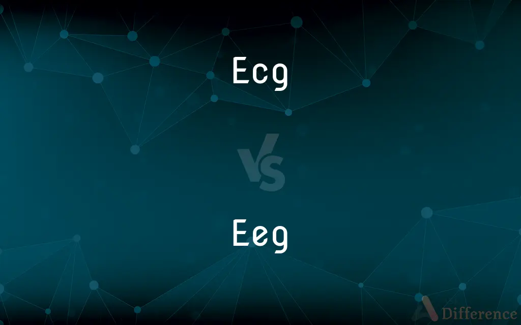 ECG vs. EEG — What's the Difference?
