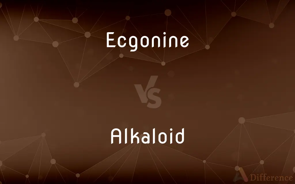 Ecgonine vs. Alkaloid — What's the Difference?
