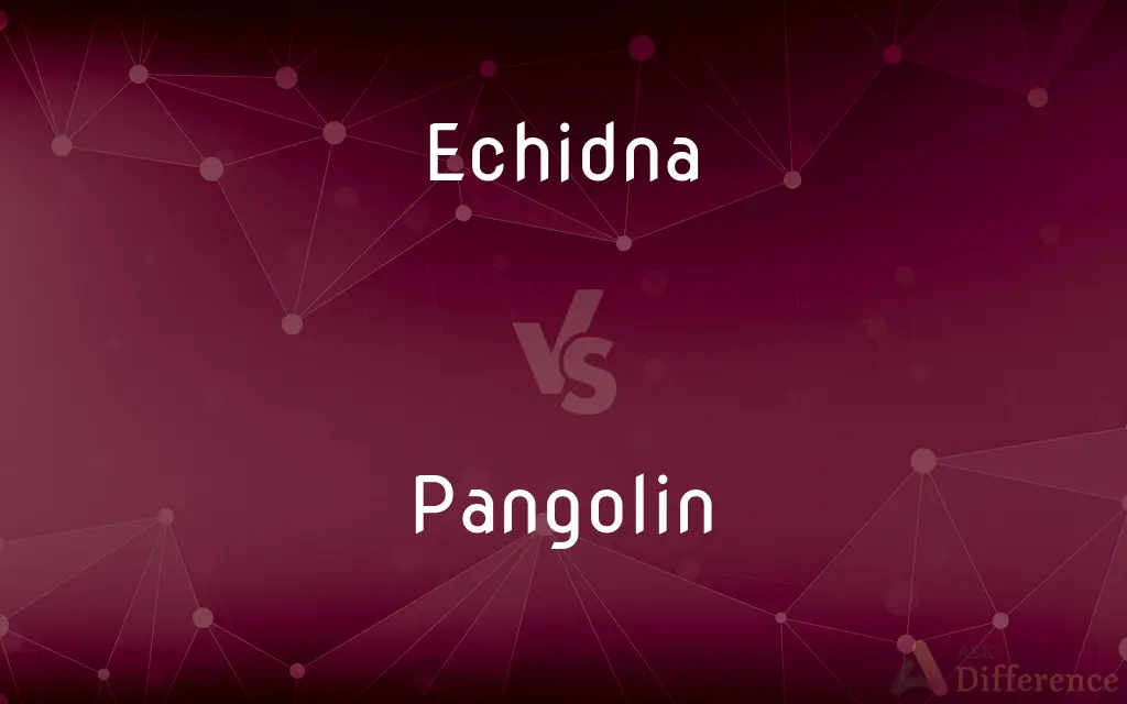 Echidna vs. Pangolin — What's the Difference?