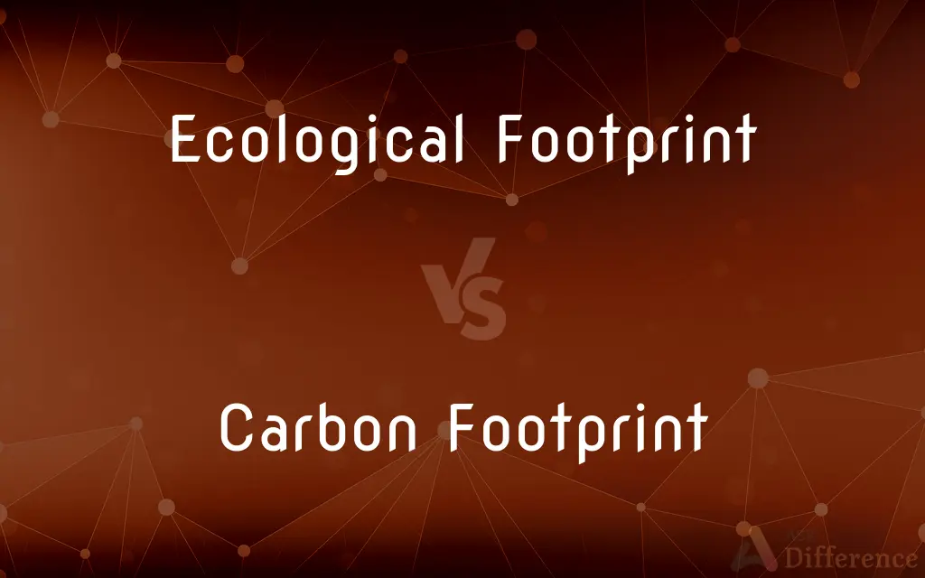 Ecological Footprint vs. Carbon Footprint — What's the Difference?