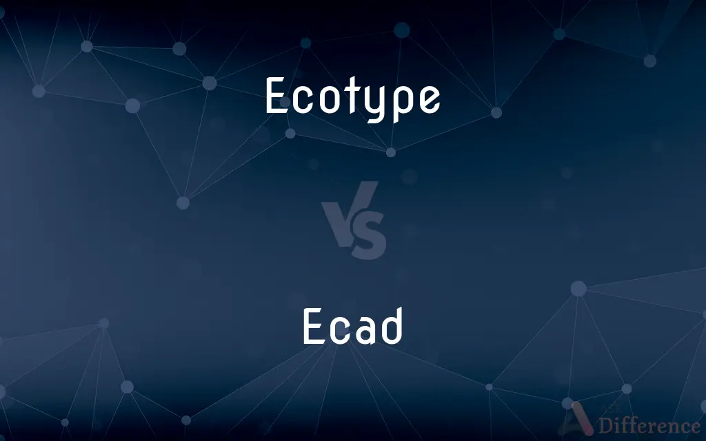 Ecotype vs. Ecad — What's the Difference?