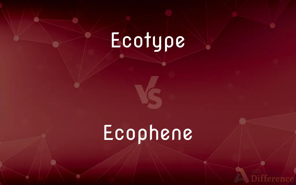 Ecotype vs. Ecophene — What's the Difference?