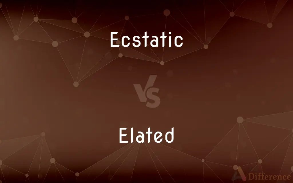 Ecstatic vs. Elated — What's the Difference?
