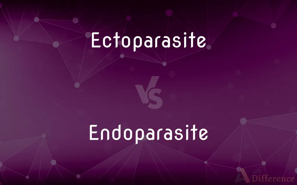 Ectoparasite vs. Endoparasite — What's the Difference?