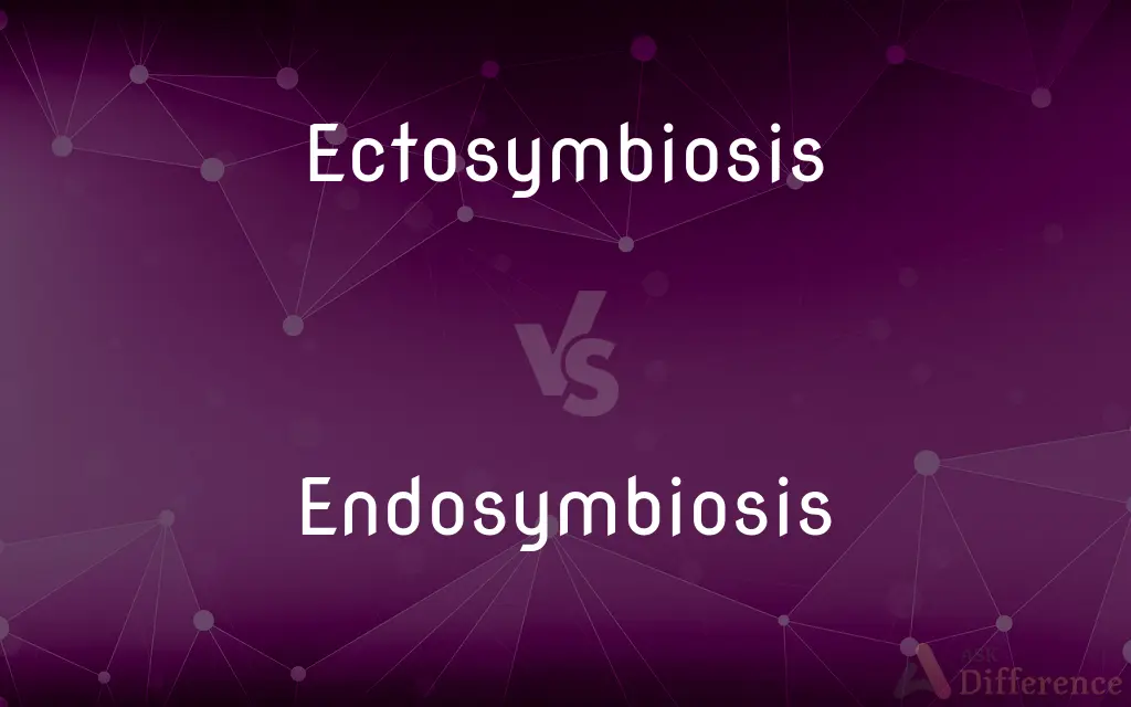 Ectosymbiosis vs. Endosymbiosis — What's the Difference?