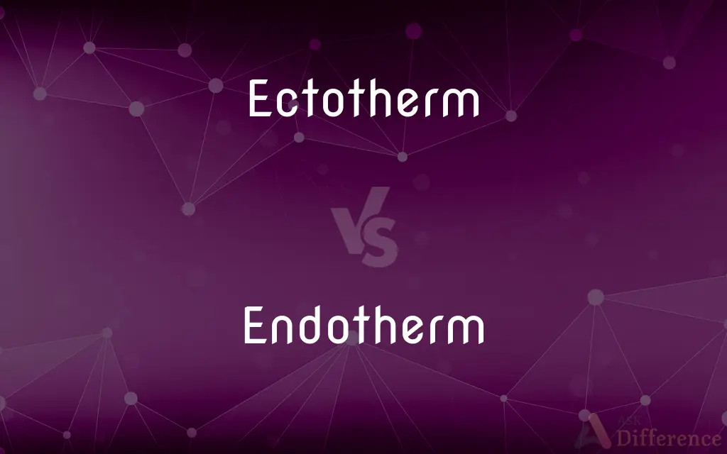 Ectotherm vs. Endotherm — What's the Difference?