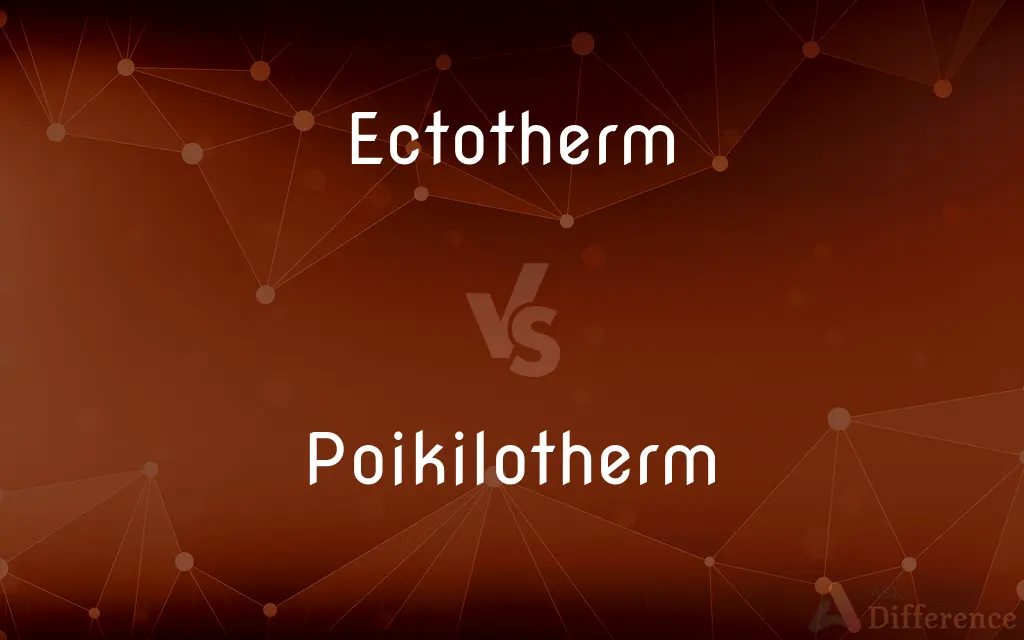 Ectotherm vs. Poikilotherm