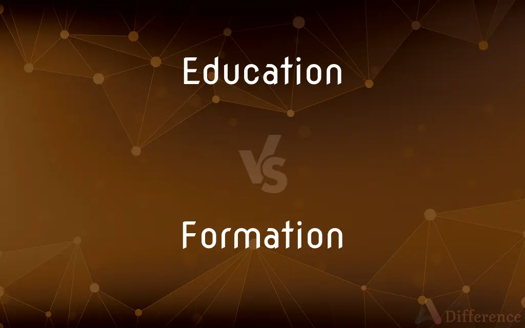 Education vs. Formation — What's the Difference?