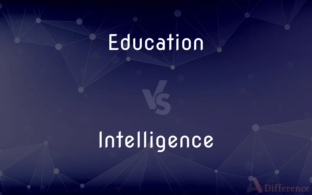 Education vs. Intelligence — What's the Difference?