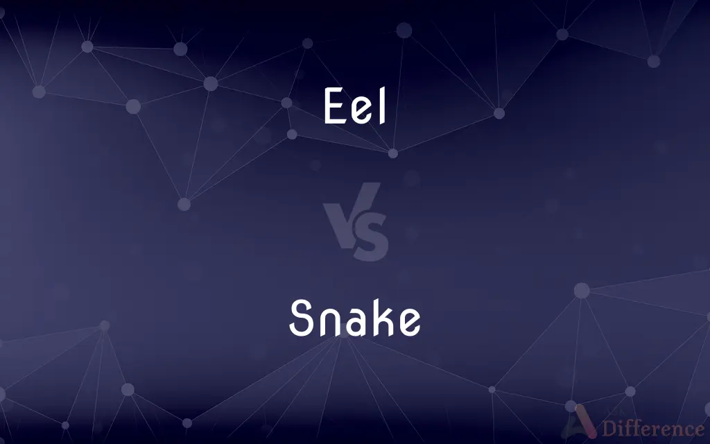 Eel vs. Snake