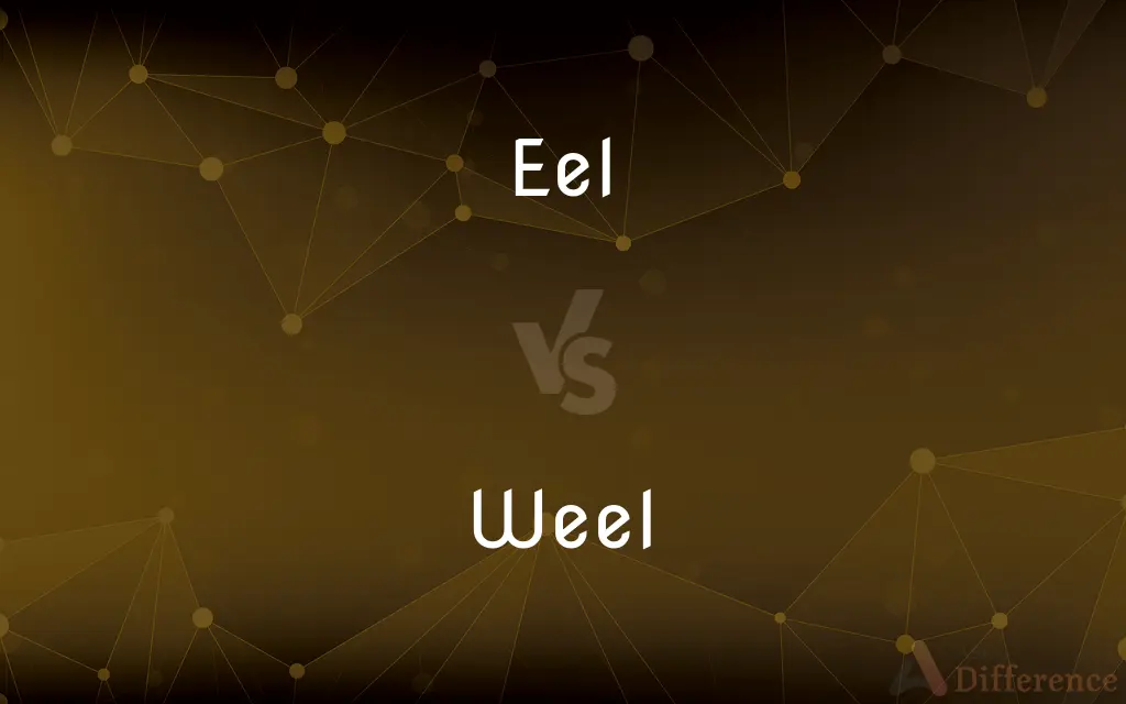 Eel vs. Weel — What's the Difference?