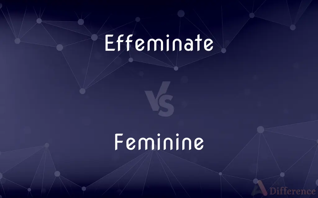 Effeminate vs. Feminine — What's the Difference?