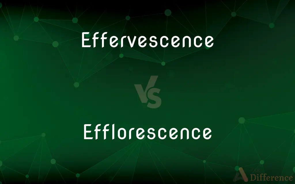Effervescence vs. Efflorescence — What's the Difference?